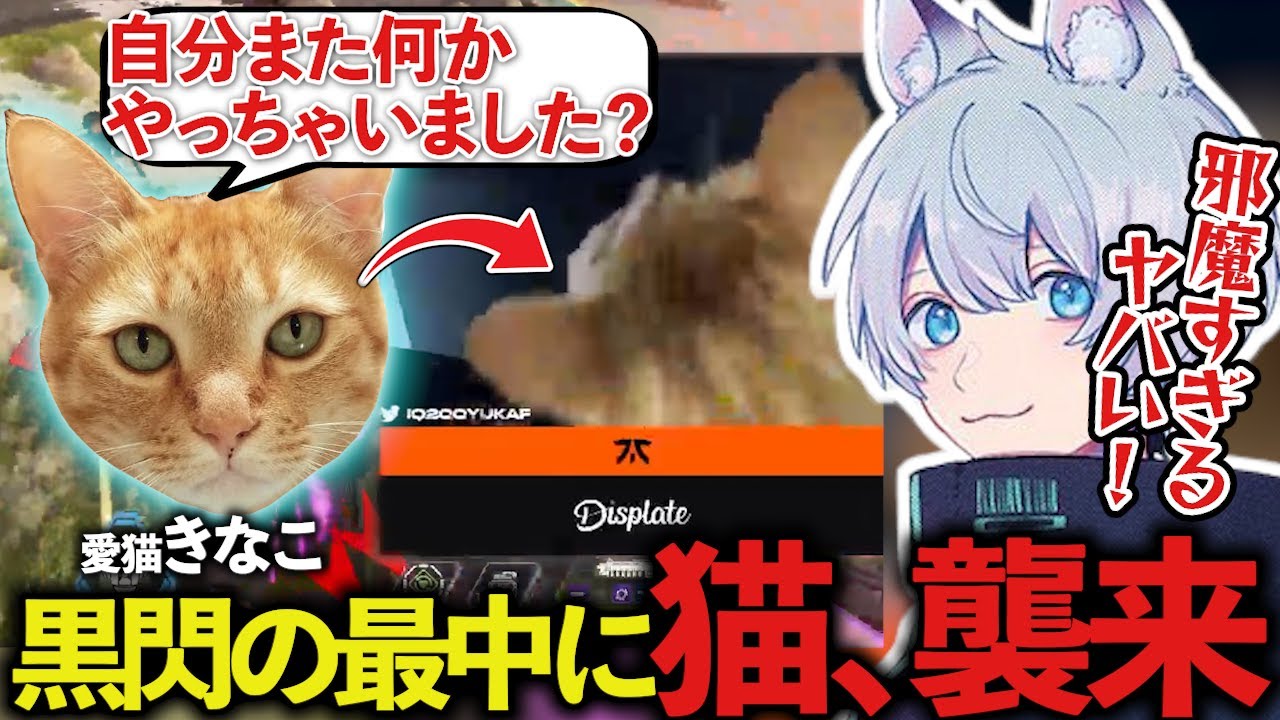 プレデター昇格戦、完璧なタイミングで飼っている愛猫に奇襲されるYukaFｗｗｗ【ApexLegends/エーペックスレジェンズ/FNATIC/YukaF/Satuki/Lykq】