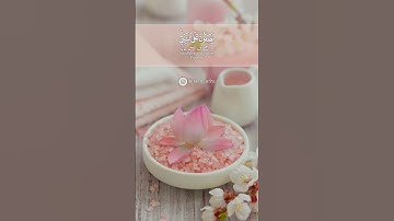 🌸صلوا عليه وسلموا تسليما ✨🍃 سورة الأحزاب: ٥٦|رعد الكردي|Surah Al Ahzaab:56|Raad al Kurdy