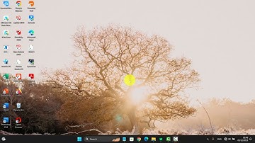 Windows 11 Home: How to show or hide hidden files, folders and drives  in File Explorer
