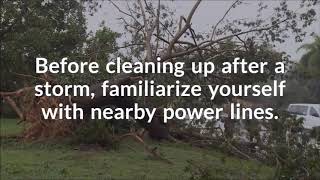 Stay safe around power lines