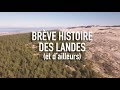 Les Landes sont-elles une vraie forêt ? | La France en fourgon aménagé - Épisode 9