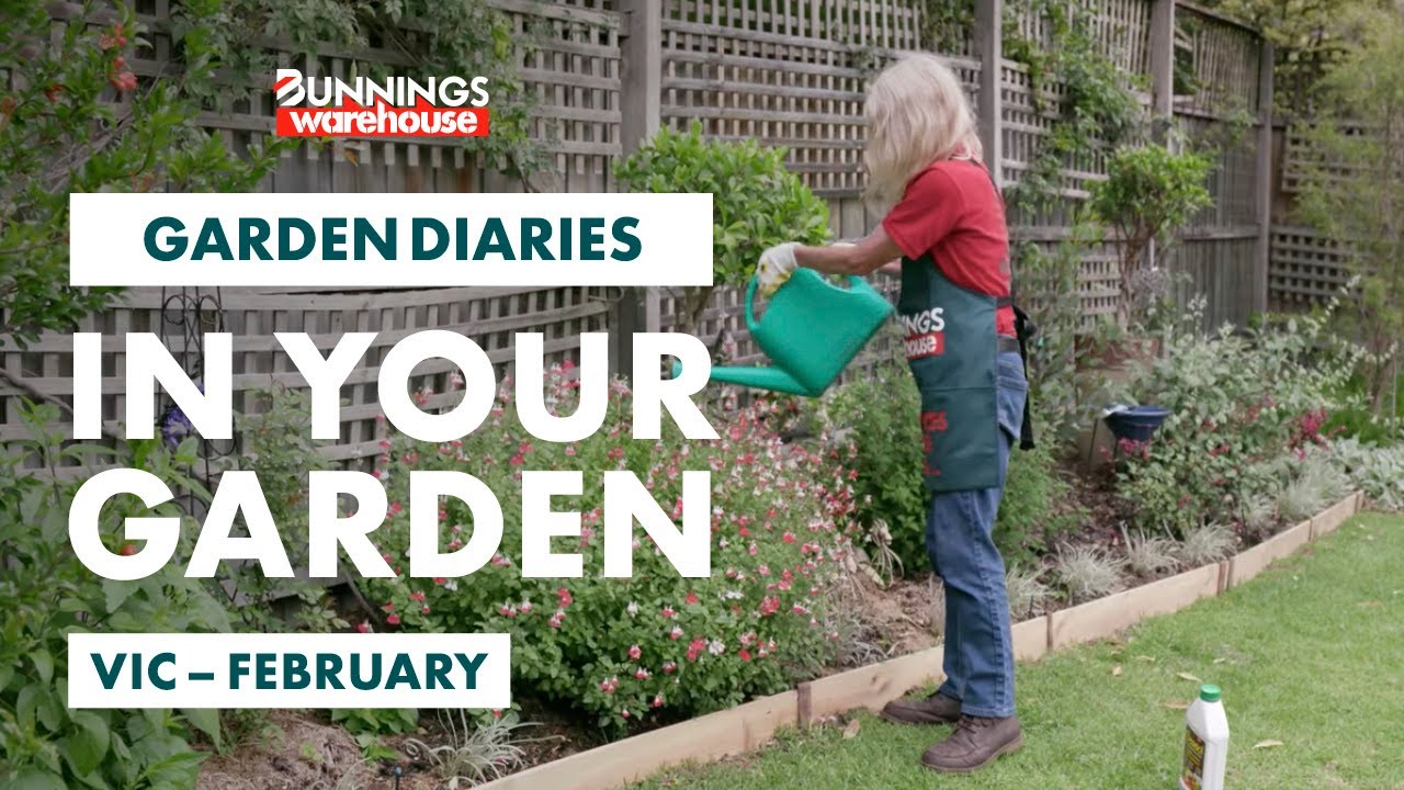 Gardening In February Victoria Bunnings Garden Diary Youtube