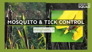 Mosquito Control Hingham MA | Hingham Tick Control Company | Hingham Tick and Mosquito Pest Control