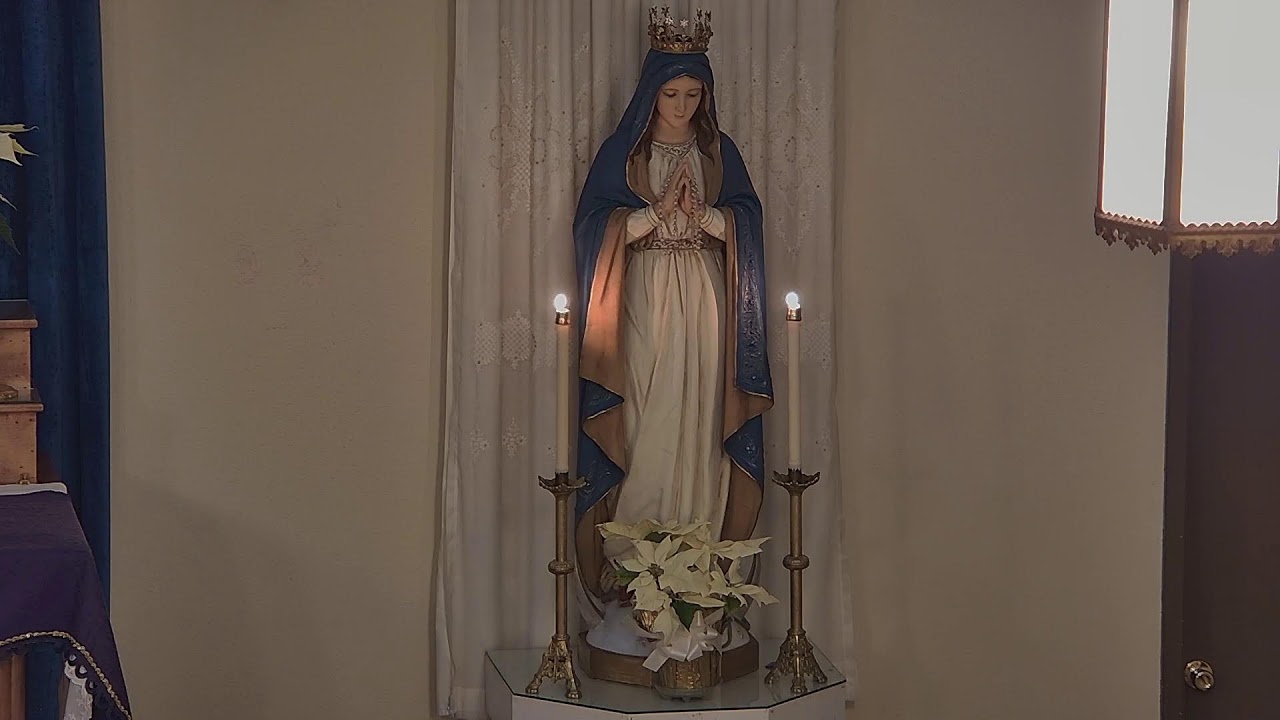 Rosary, February 11, 2024