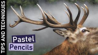 How to draw realistic antlers in pastels | Crucial steps not to ignore