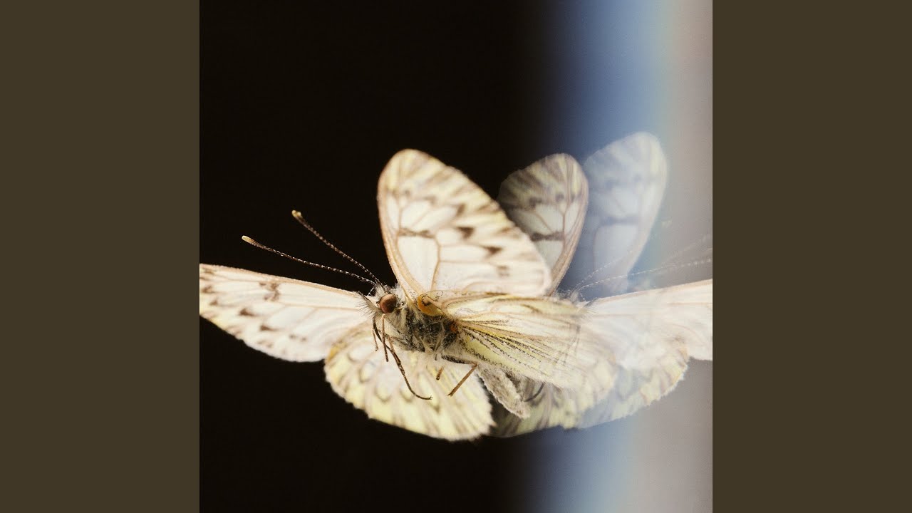 Watch Mariposa on YouTube Watch Mariposa on YouTube
