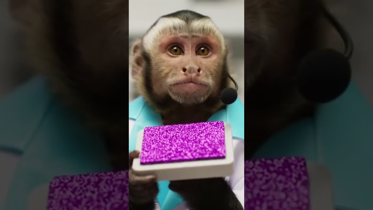 When your glam doctor is a MONKEY! 🐒✨ 