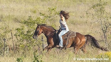 Boonsmarrt***For info, price, etc., go to our website*** Valley View Ranch