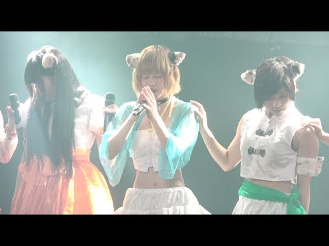 三毛猫歌劇団【虹色サンシャイン】2017,5,21渋谷SOUND MUSEUM VISION
