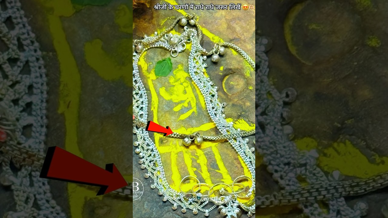 श्री जी के चमत्कारी चरण चिन्ह का दर्शन 👣🦚 | The Miraculous Footprints of Shri Ji #shortsvideo