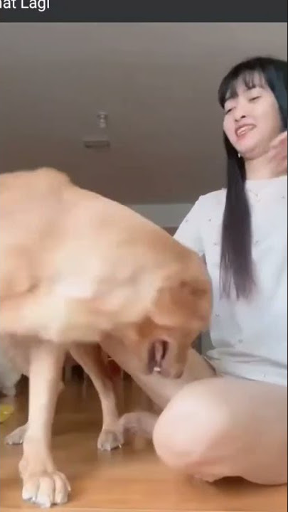 wanita cantik sama anjing