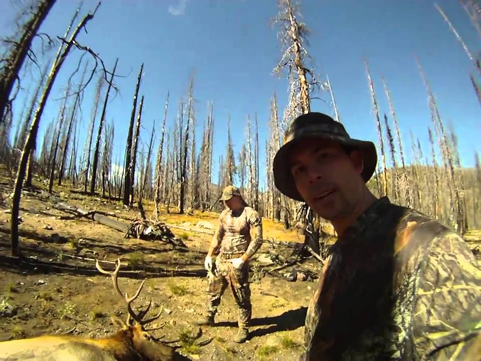 Idaho Archery Bull Elk Hunt 4x5 Brian Rae 2010 DIY YouTube