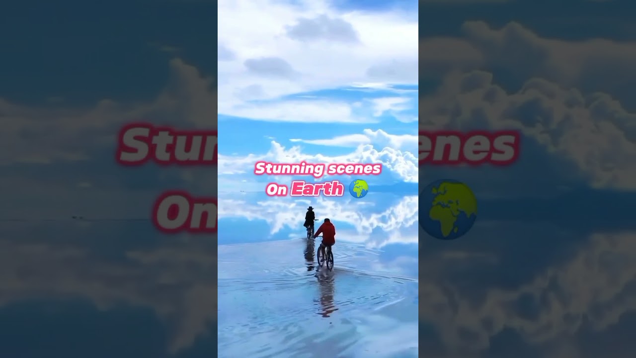 Incredible Earth | "The Describer:" Decoding Life's Big Questions |