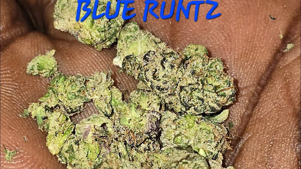 Blue Raspberry Runtz BLUE RUNTZ STRAIN REVIEW - YouTube