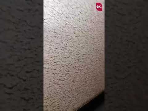 YouTube видео