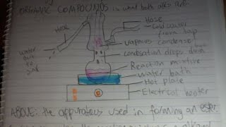 Production of an Ester