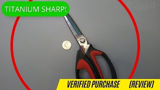 LIVINGO Multipurpose Heavy Duty Scissors (Review)