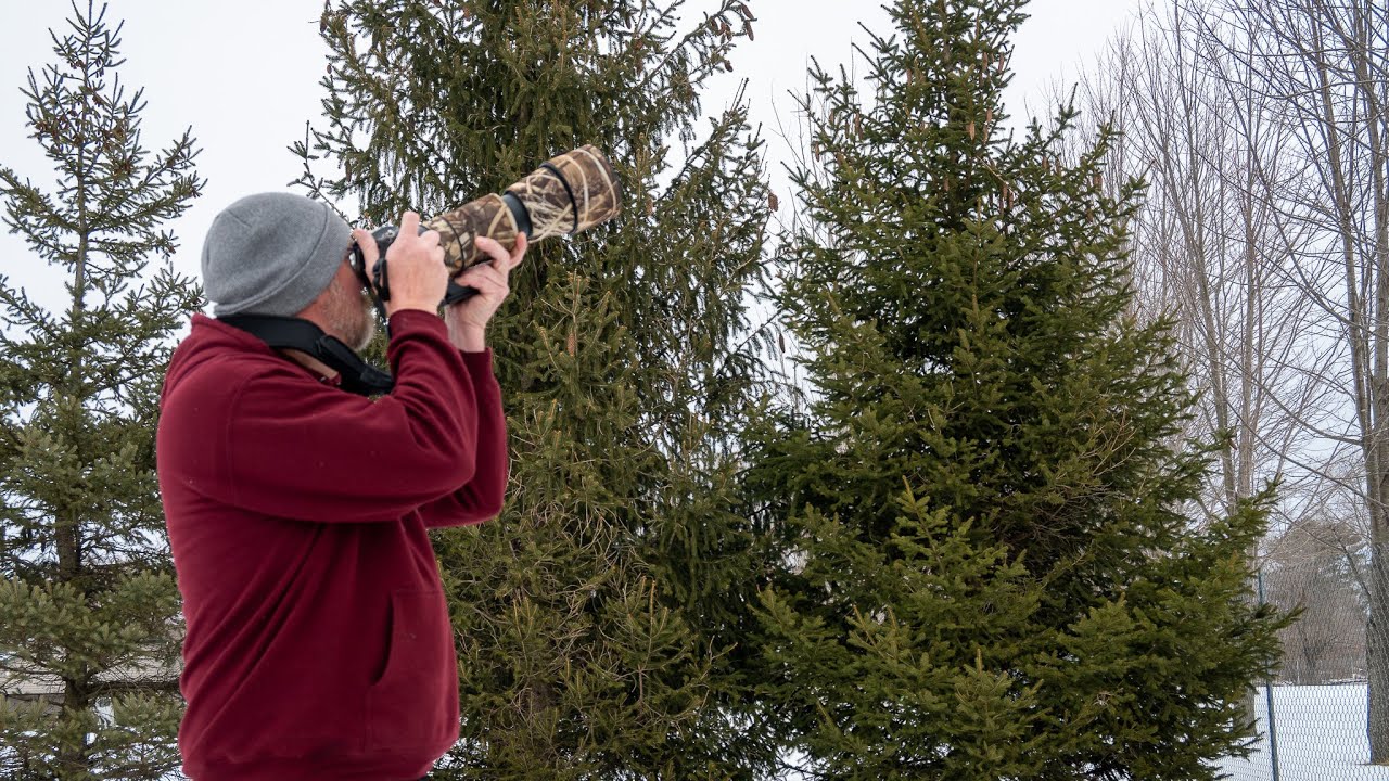 Essential beginner wildlife gear