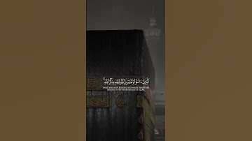 الذين امنوا وتطمئن قلوبهم بذكر الله🌿القارئ فارس عباد🌿سورة الرعد