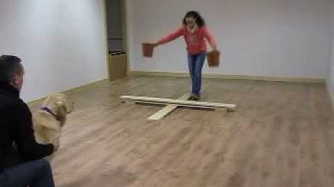 Object permanence invisible displacement video 5