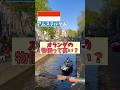 オランダの物価って高い？？かかった費用を紹介します！ #オランダ #海外旅行 #amsterdam