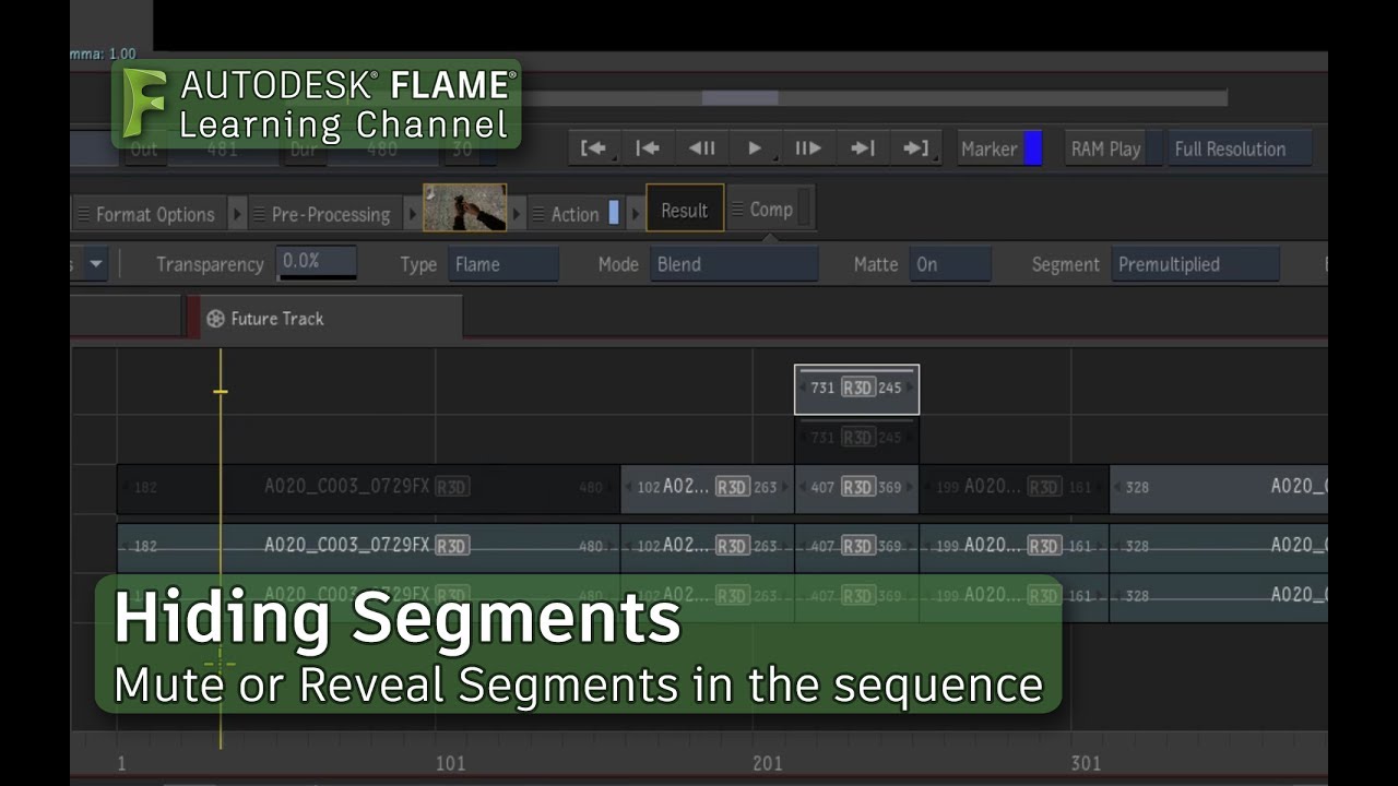 Hide and Reveal Segments - Flame 2018.2 Update