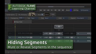 Hide and Reveal Segments - Flame 2018.2 Update