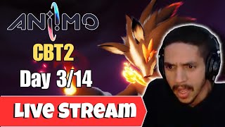 Aniimo CBT2 LIVE 🔥 Day 3 — Alpha vs Alpha Battles & Gameplay