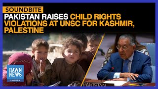 UNSC: Pakistan Raises Child Rights Violations In Occupied Kashmir, Palestine | Dawn News English