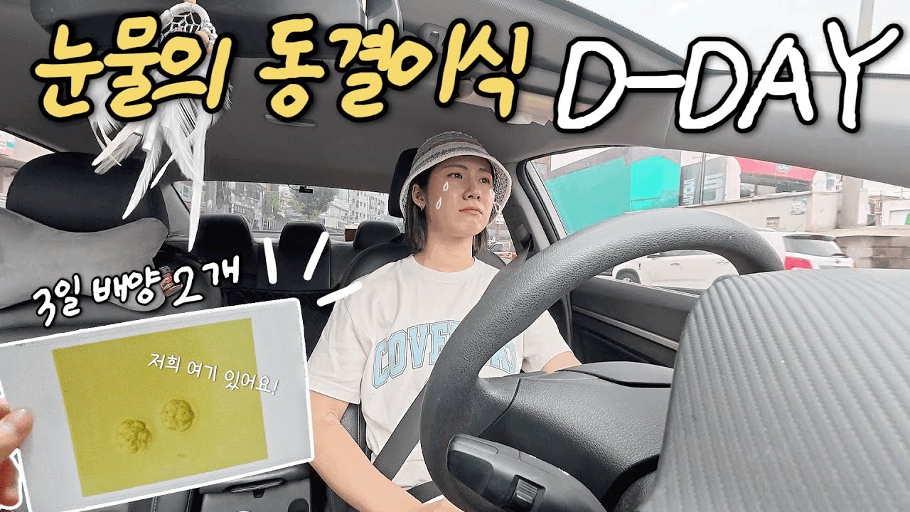 💉 눈물의 첫 시험관 이식 당일 | 3일배양 동결배아 2개 이식 브이로그