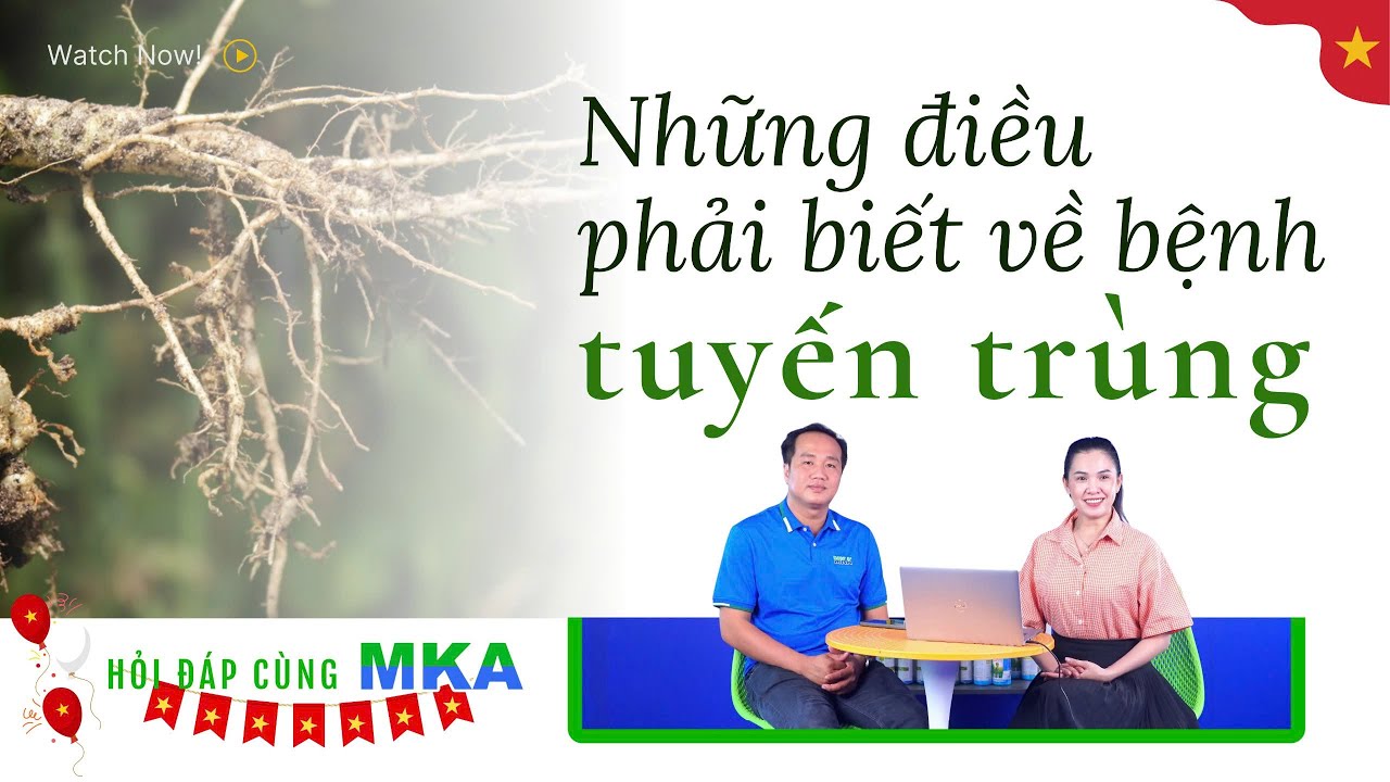 Hỏi đáp cùng MKA-Hiểu tất cả về Tuyến trùng gây hại cây trồng #tuyến_trùng #nongnghiep