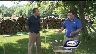 Grow it Green: Dealing with woodchucks