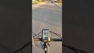 Fischer Ebike Proline Ecu 1720