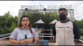 ROS: Ekowisata Mangrove Terdampak Badai Seroja