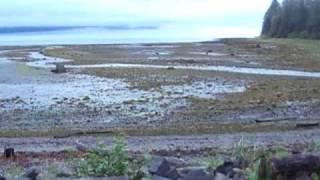 22 2 Sandy Beach Mitkoff Island, Norsk Spoken here