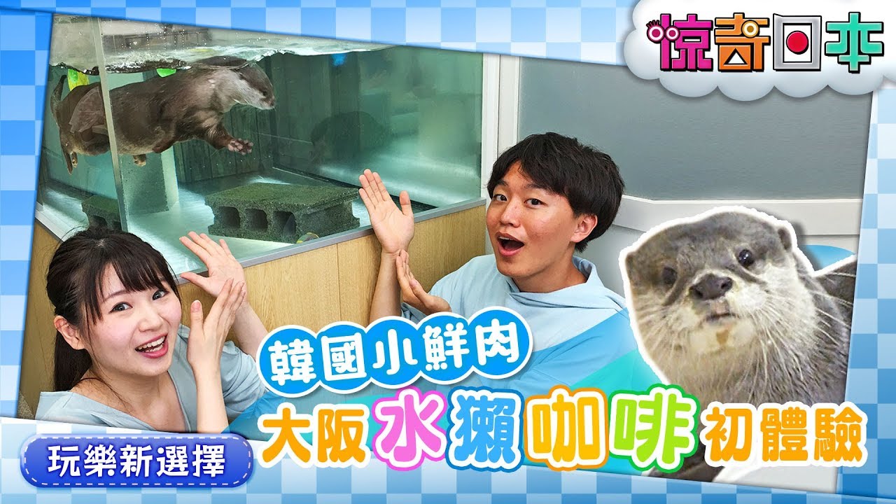 韓国人が人生初！カワウソカフェでふれあい体験！【ビックリ日本