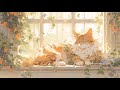 Lofi with my cat  cat  wonderful day workrelaxhealing   lofi mix  lofi songs 