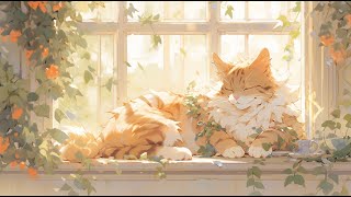 Lofi With My Cat || Cat & Wonderful Day😽❣️☀️ Work/Relax/Healing [ Lofi Mix - Lofi Songs ]