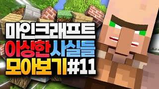 마인크래프트 이상한 사실들 모아보기 #11 (Minecraft)