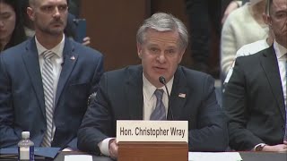 Trump says it's 'a great day for America' after FBI Director Christopher Wray announces resignation
