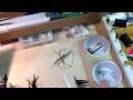 Fly Tying 101: Lesson 12, The Bench Fly Tying 101: Lesson 12, The Bench