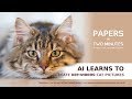 AI learns to Create  ̵K̵Z̵F̵ ̵V̵i̵d̵e̵o̵s̵ Cat Pictures: Papers in Two Minutes #1