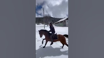 Atın üstündeki TÜRK değilse yüktür.