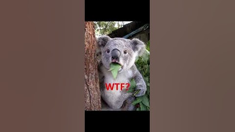 KT-LF2 v3.0 That was clean!