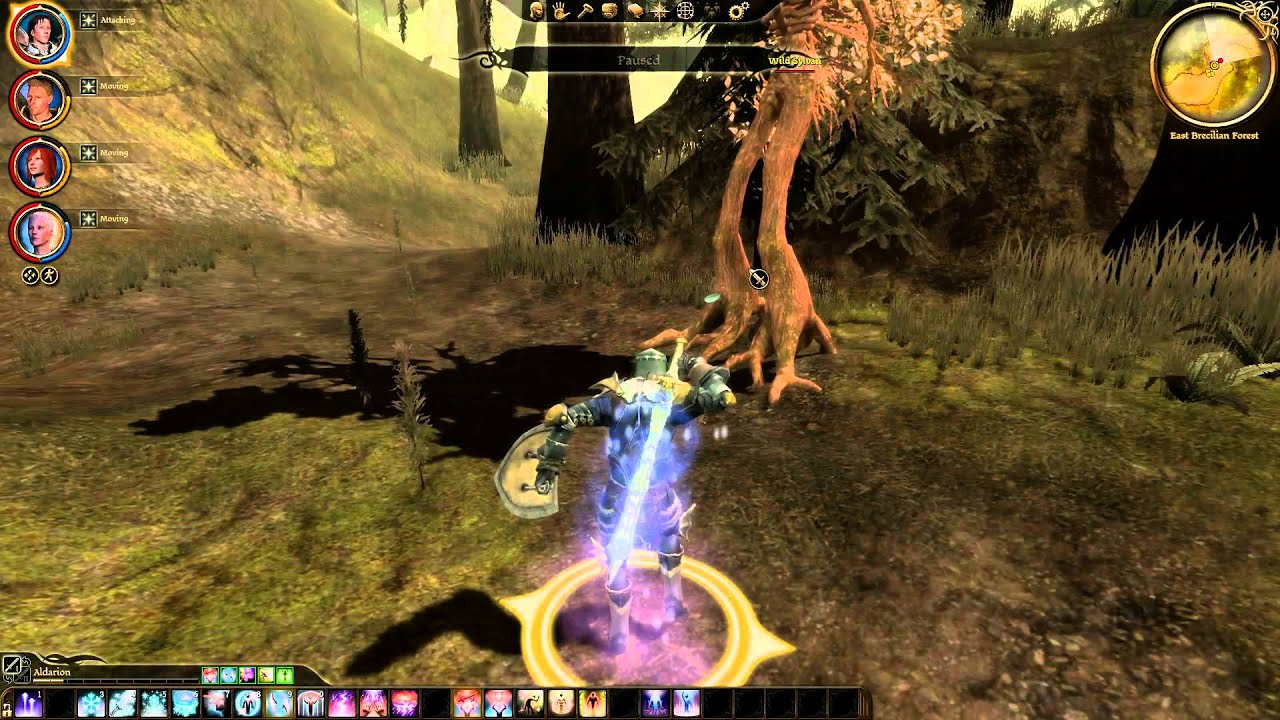 Mages' Treasure - Dragon Age: Origins Online Nightmare Guide