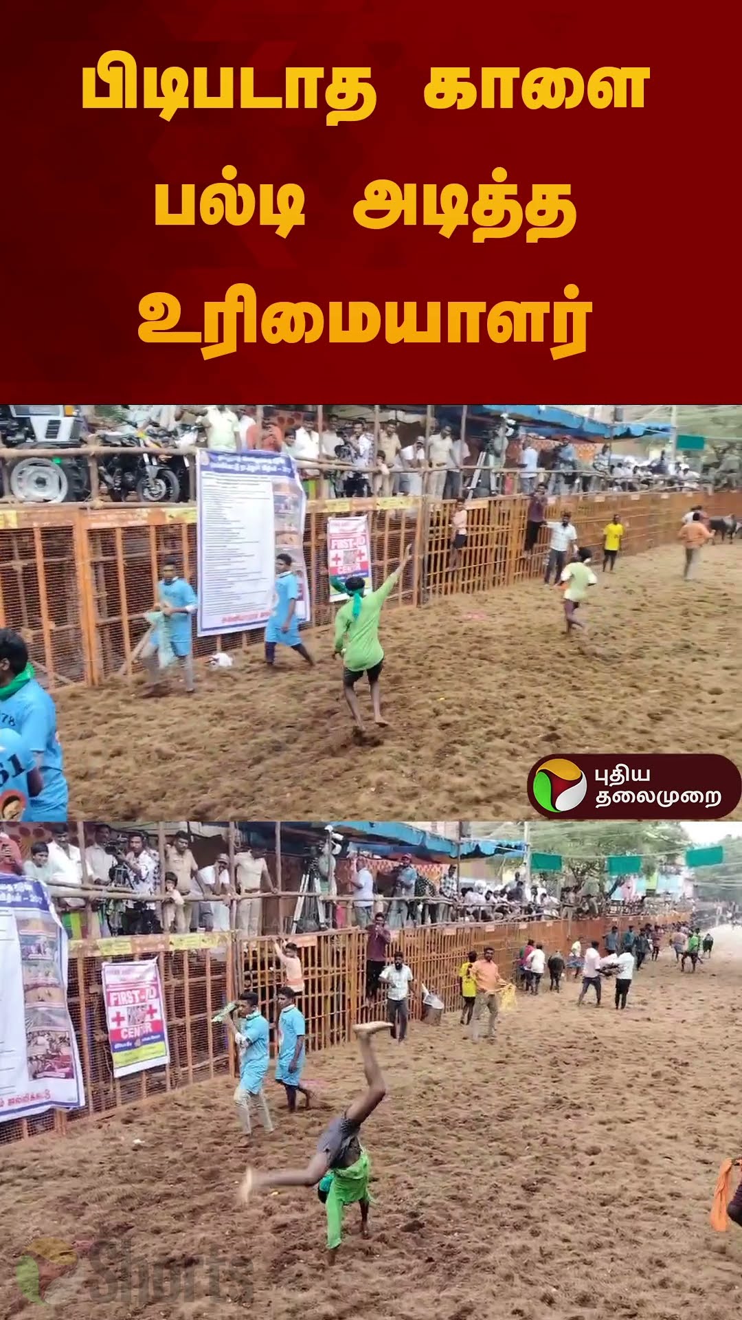 பிடிபடாத காளை பல்டி அடித்த உரிமையாளர் | #jallikattu2025 | #madurai | #shorts