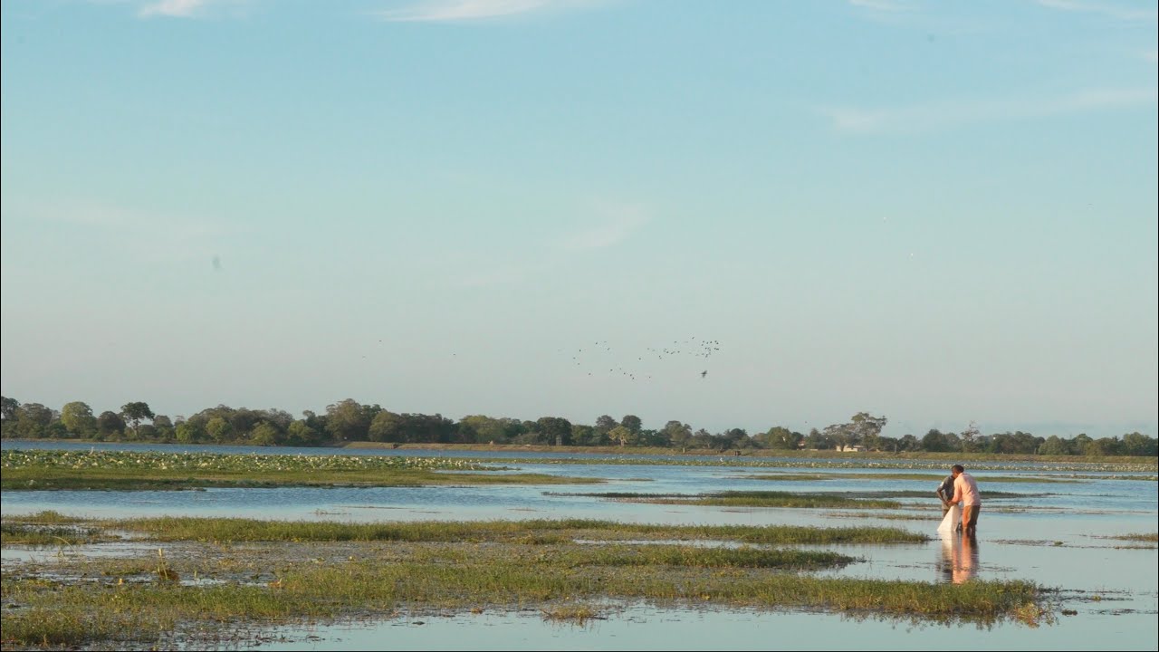 Sri Lanka | Immense Natural Beauty and Learning to Surf