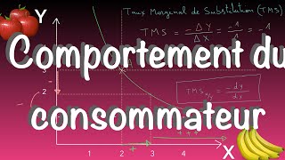 Initiatiation à la MICROECONOMIE - le comportement du consommateur rationnel - compilation