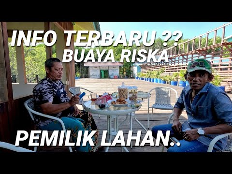 PAK ALI PEMILIK LAHAN,INI ALASAN,BUAYA RISKA BELUM BISA KEMBALI❗