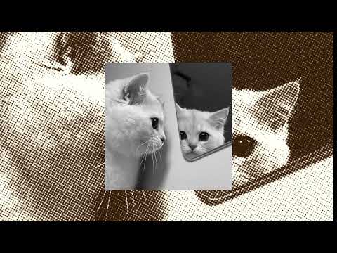 Rumah - Salma Salsabil | Lirik Lagu